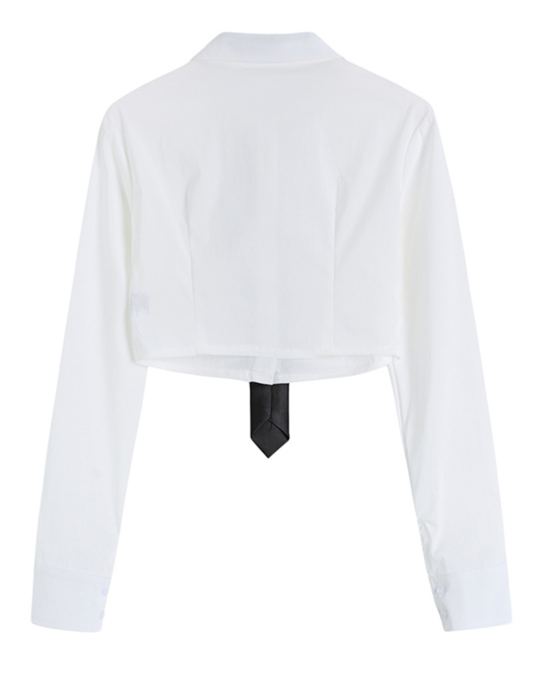 Ivy Cropped Oxford Shirt