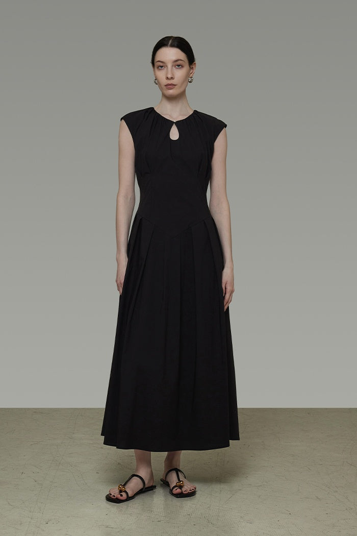 Silent Elegance Draped Neck Dress