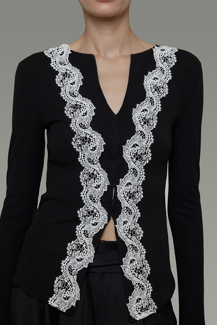 Whispered Lace Knit Top